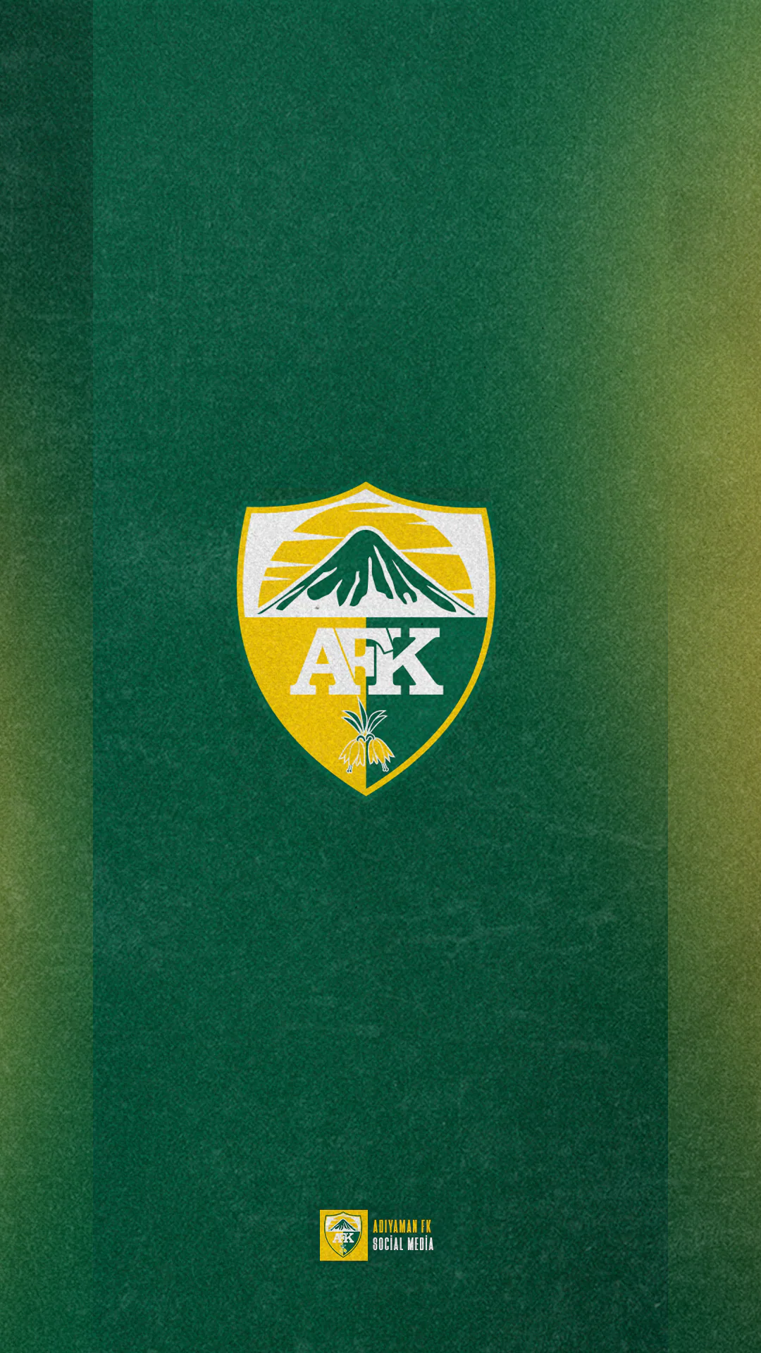 Adıyaman FK proje görseli 29